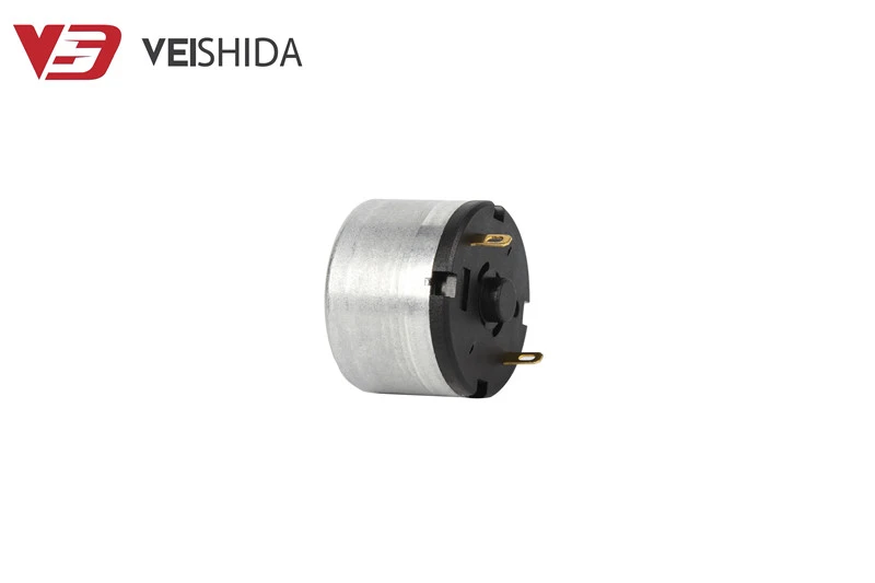 High Torque Carbon Brush DC Motor
