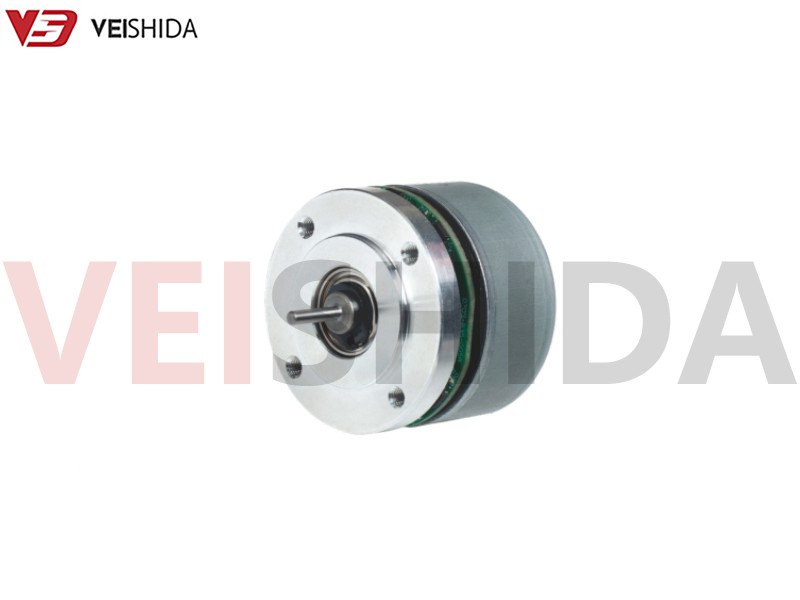 Outer Rotor BLDC Motor 3 Outer Rotor BLDC Motor 3