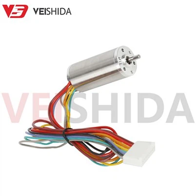 Micro Coreless DC Tsav